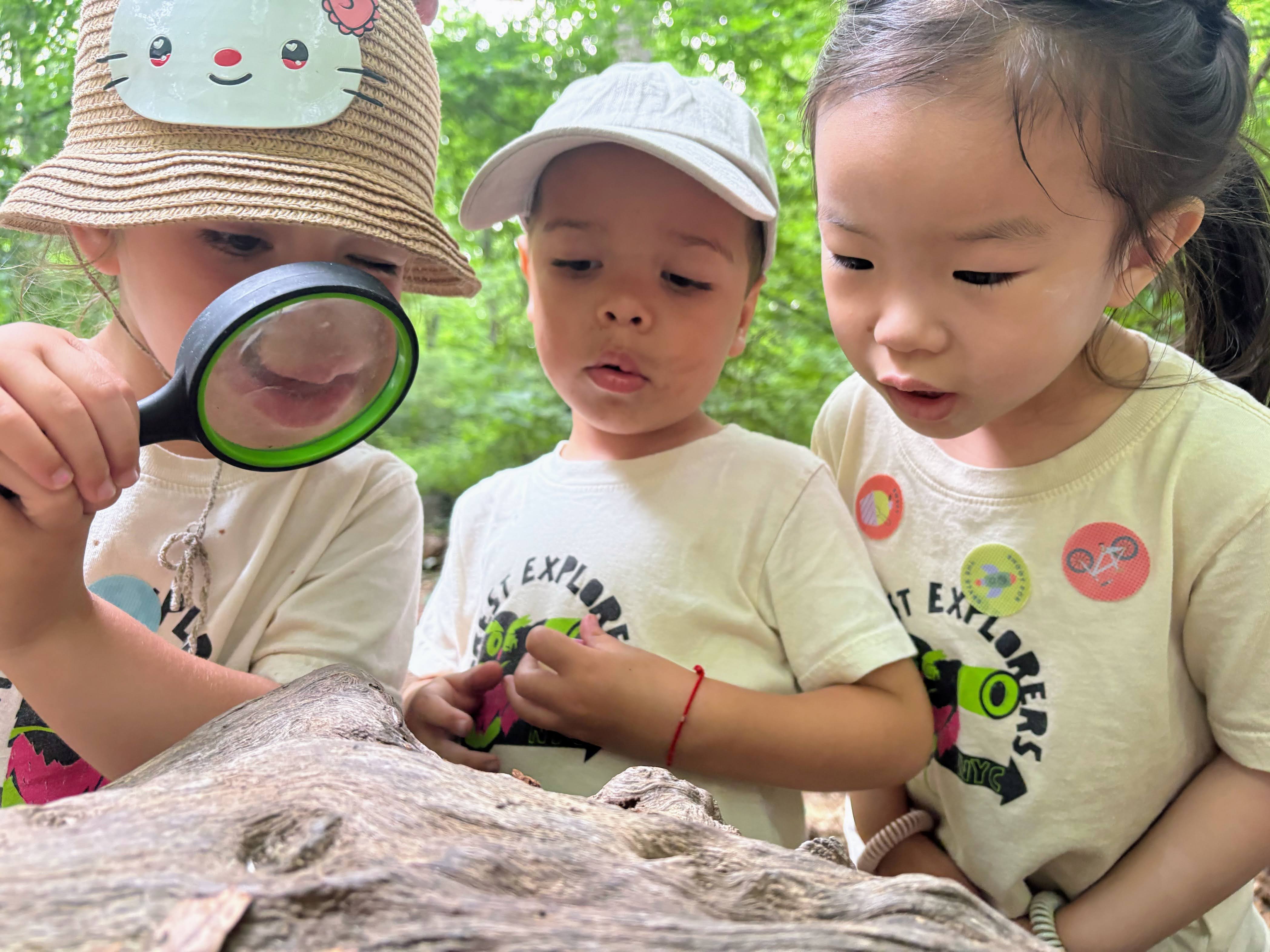 Nature play discovery