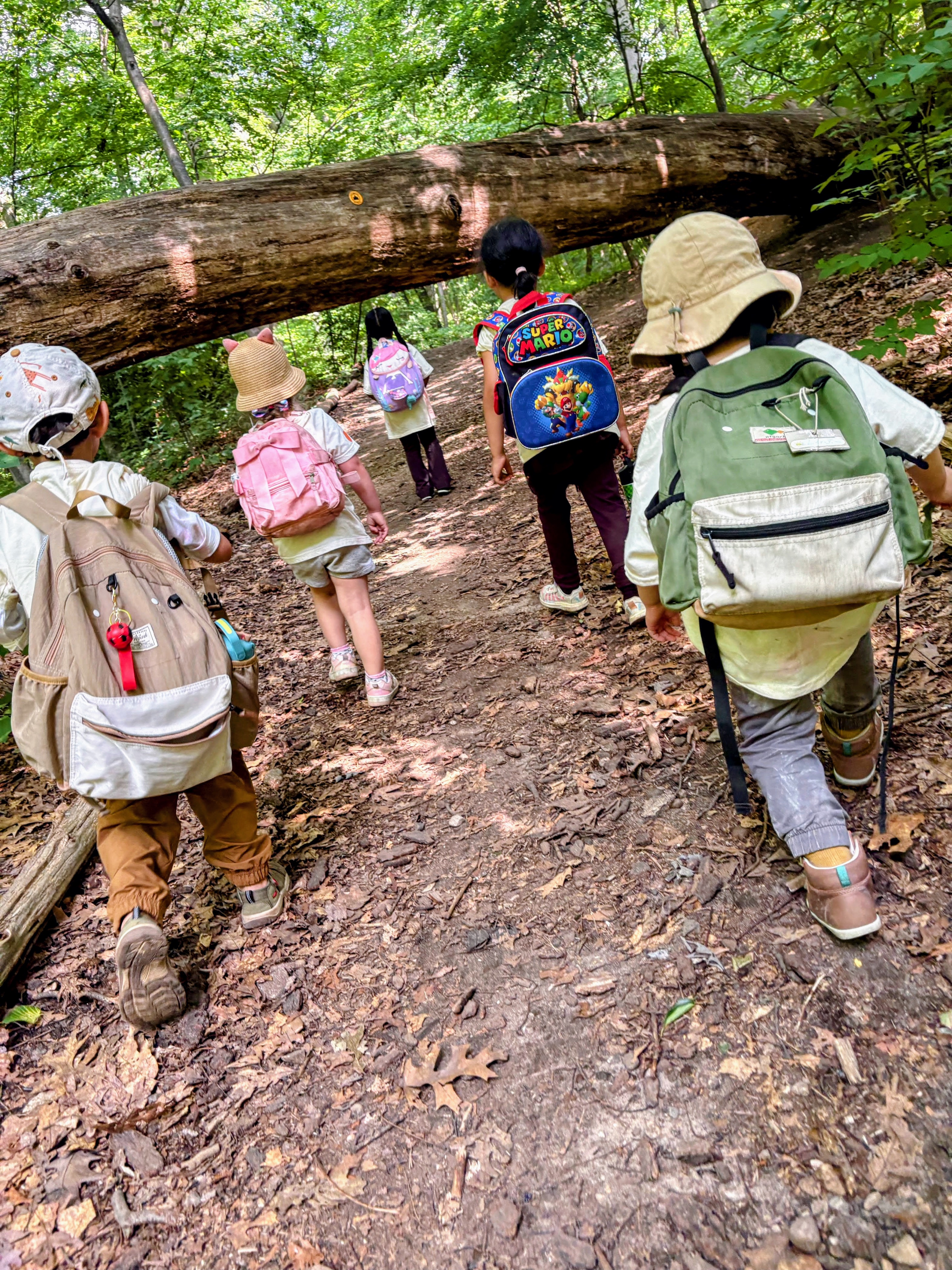 Children on a log