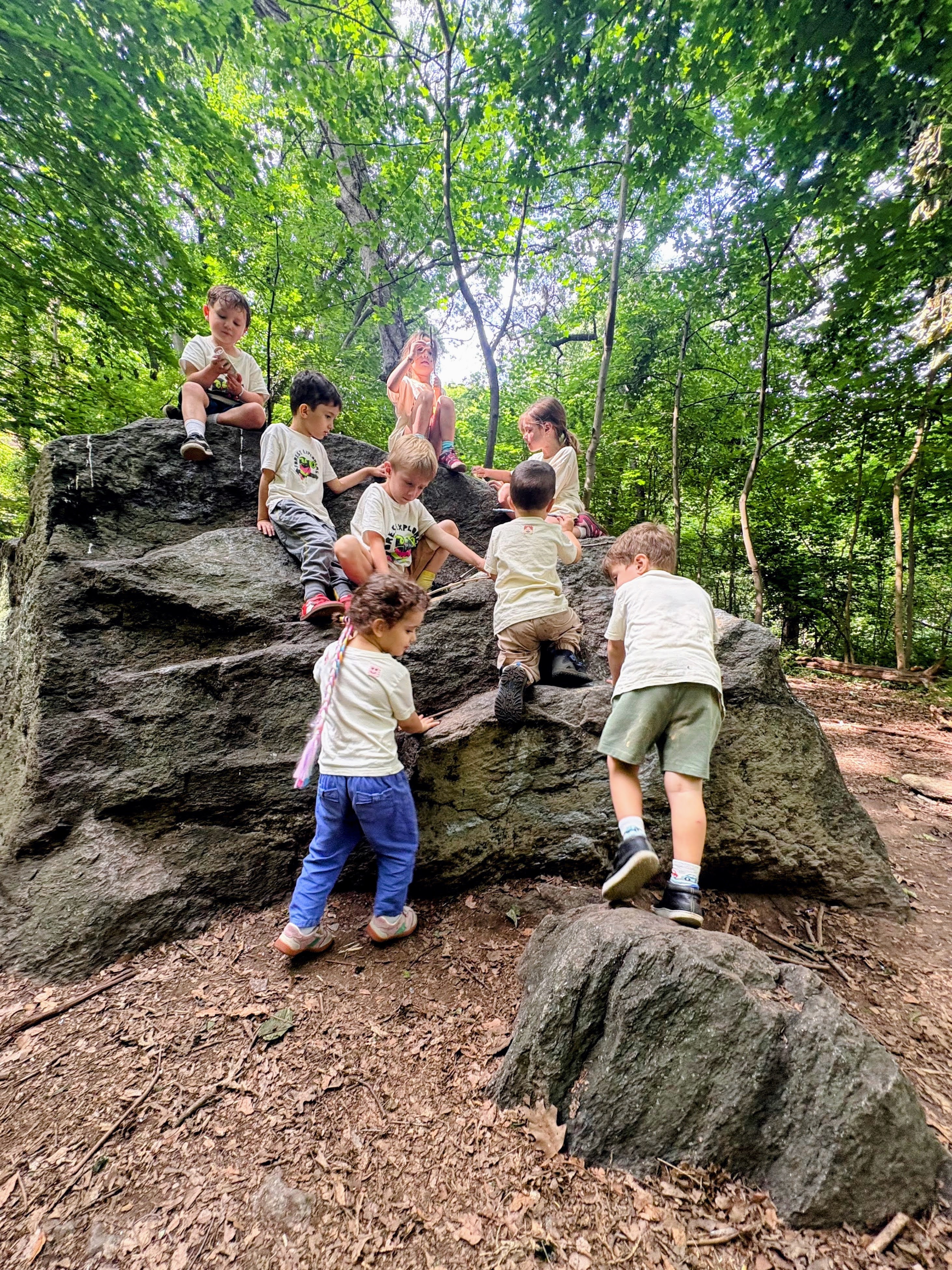 Forest exploration