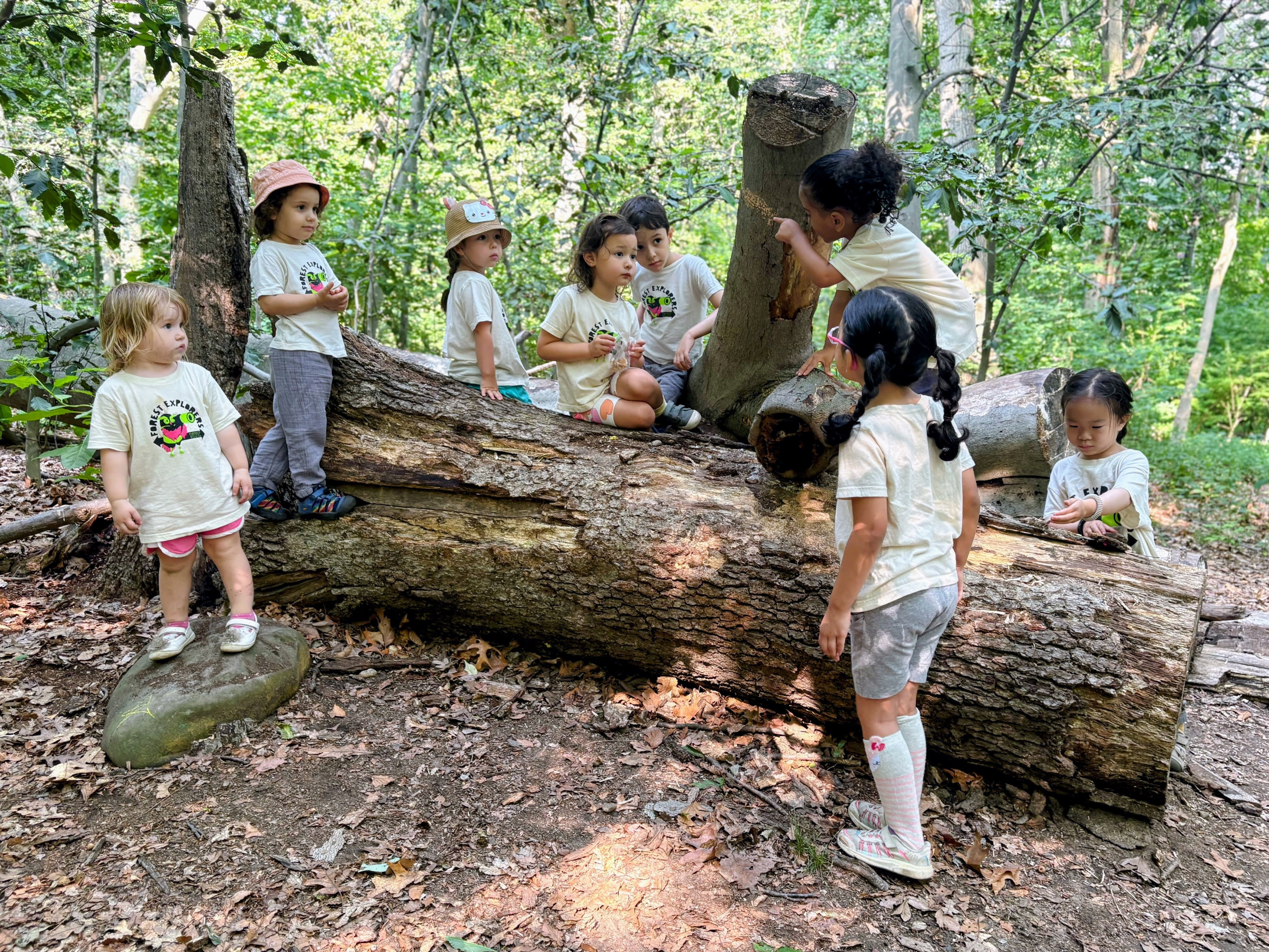 Hiking group